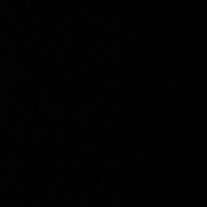 Meet your Posher, Will